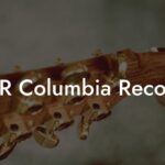 A&R Columbia Records