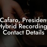 Al Cafaro, President at Hybrid Recordings Contact Details