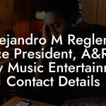Alejandro M Reglero, Vice President, A&R at Sony Music Entertainment Contact Details