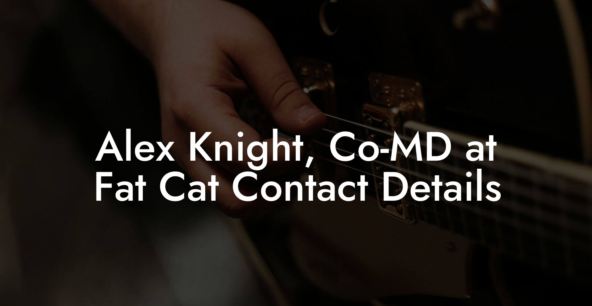 Alex Knight, Co-MD at Fat Cat Contact Details