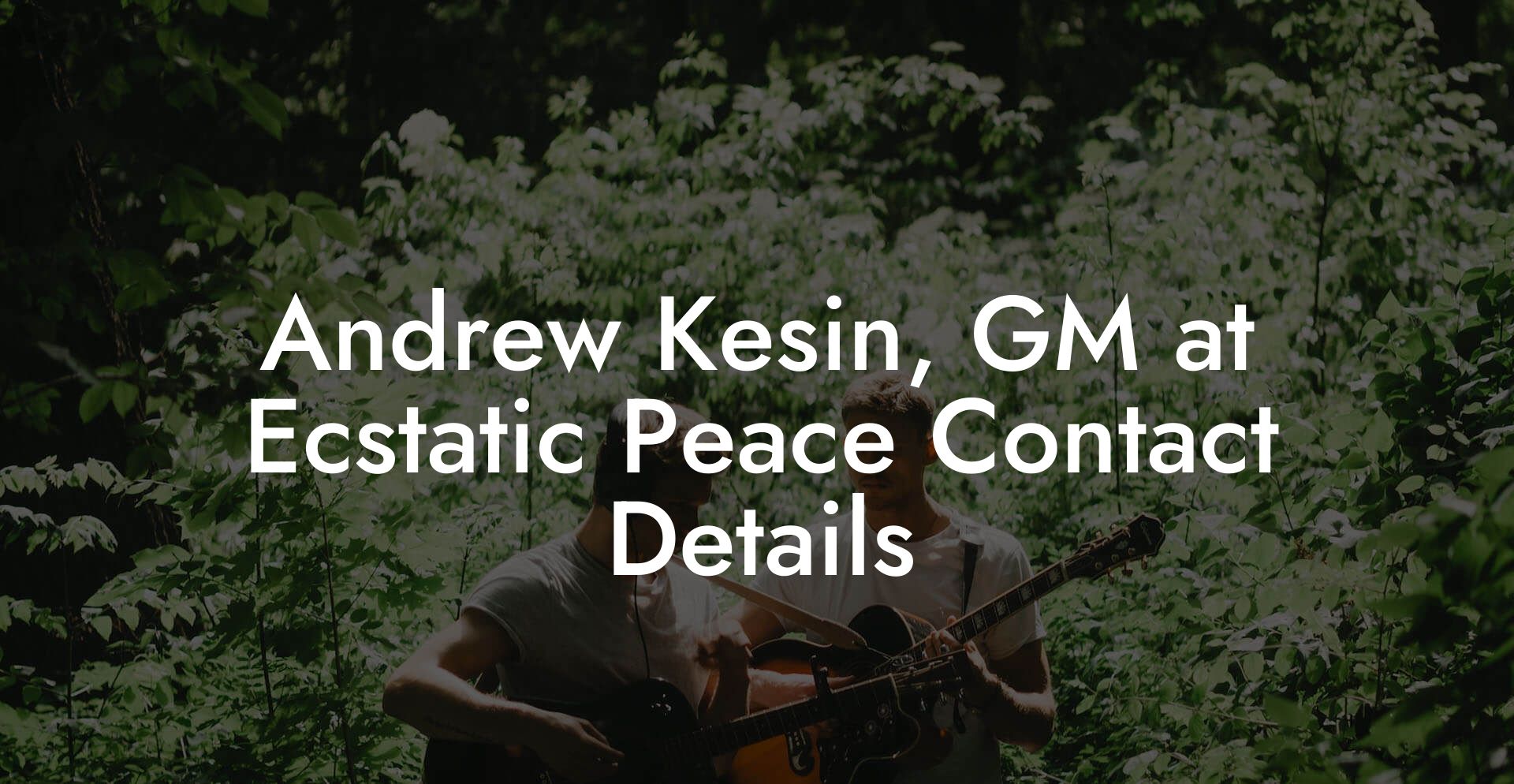 Andrew Kesin, GM at Ecstatic Peace Contact Details