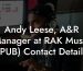 Andy Leese, A&R Manager at RAK Music (PUB) Contact Details