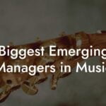Biggest Emerging Managers in Music