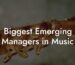 Biggest Emerging Managers in Music