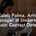 Caleb Palma, Artist Manager at Undertow Music Contact Details