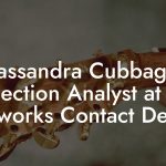 Cassandra Cubbage, Collection Analyst at BET Networks Contact Details