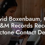 David Boxenbaum, GM at A&M Records Records / Octone Contact Details