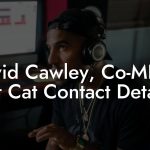 David Cawley, Co-MD at Fat Cat Contact Details