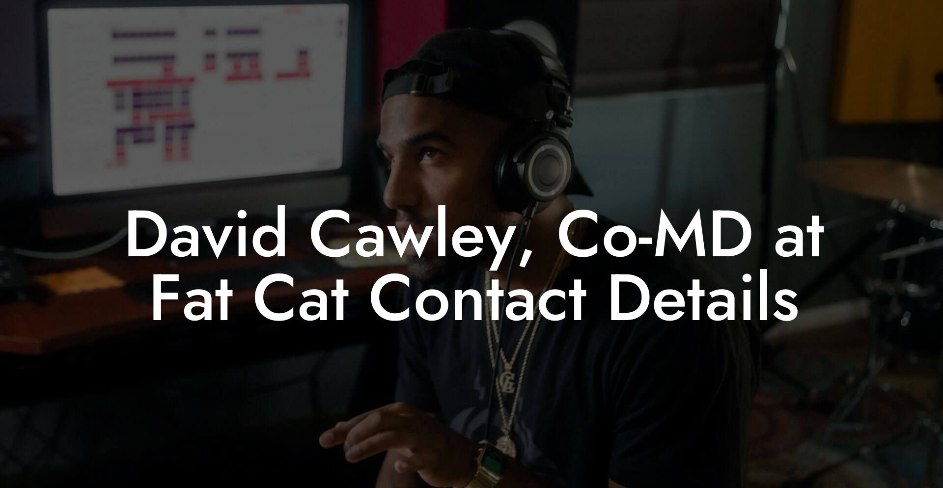 David Cawley, Co-MD at Fat Cat Contact Details