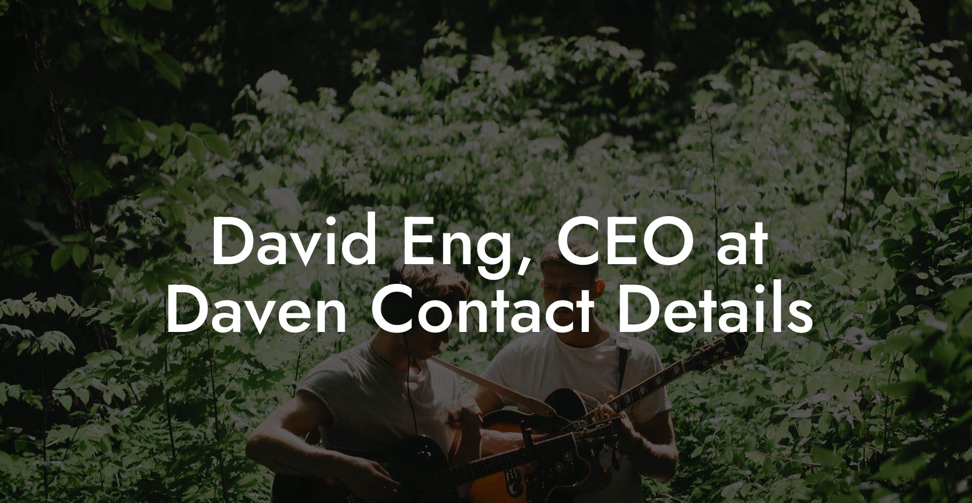 David Eng, CEO at Daven Contact Details