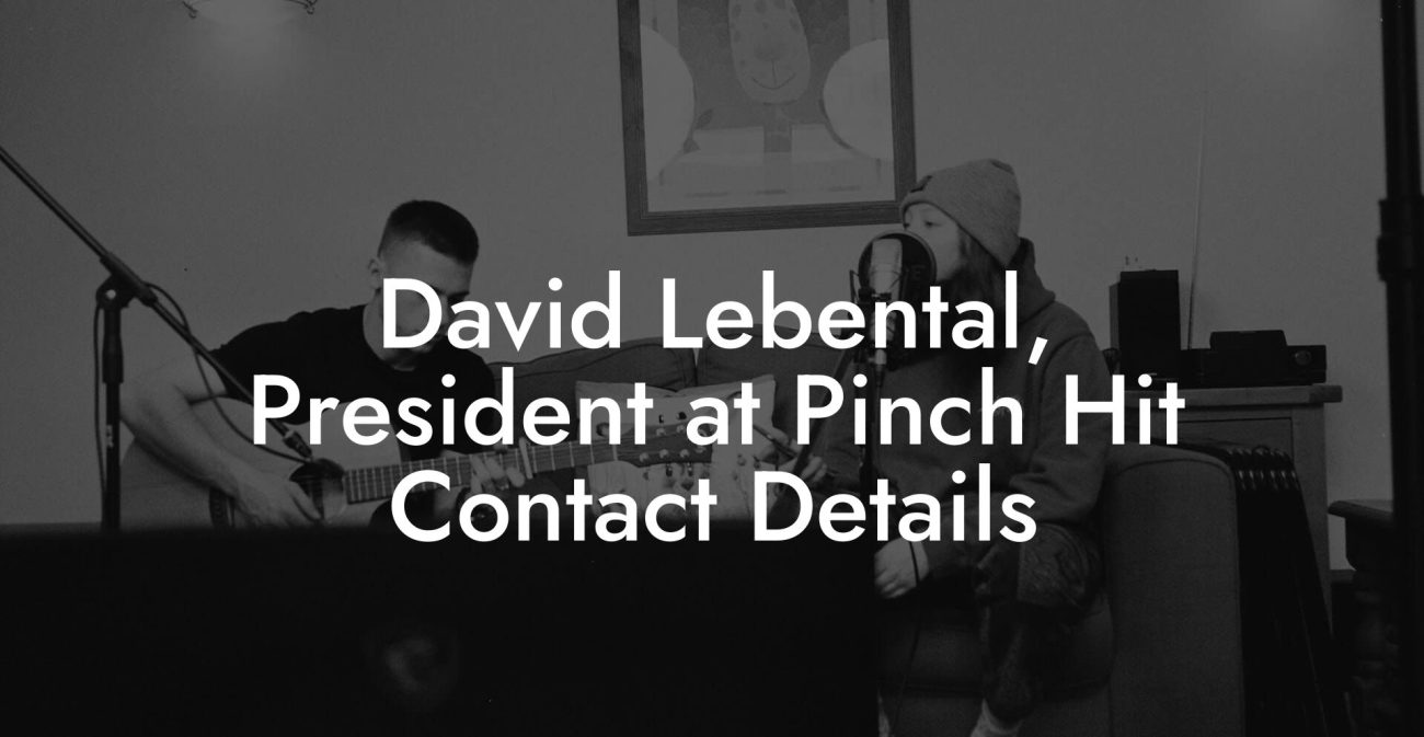 David Lebental, President at Pinch Hit Contact Details