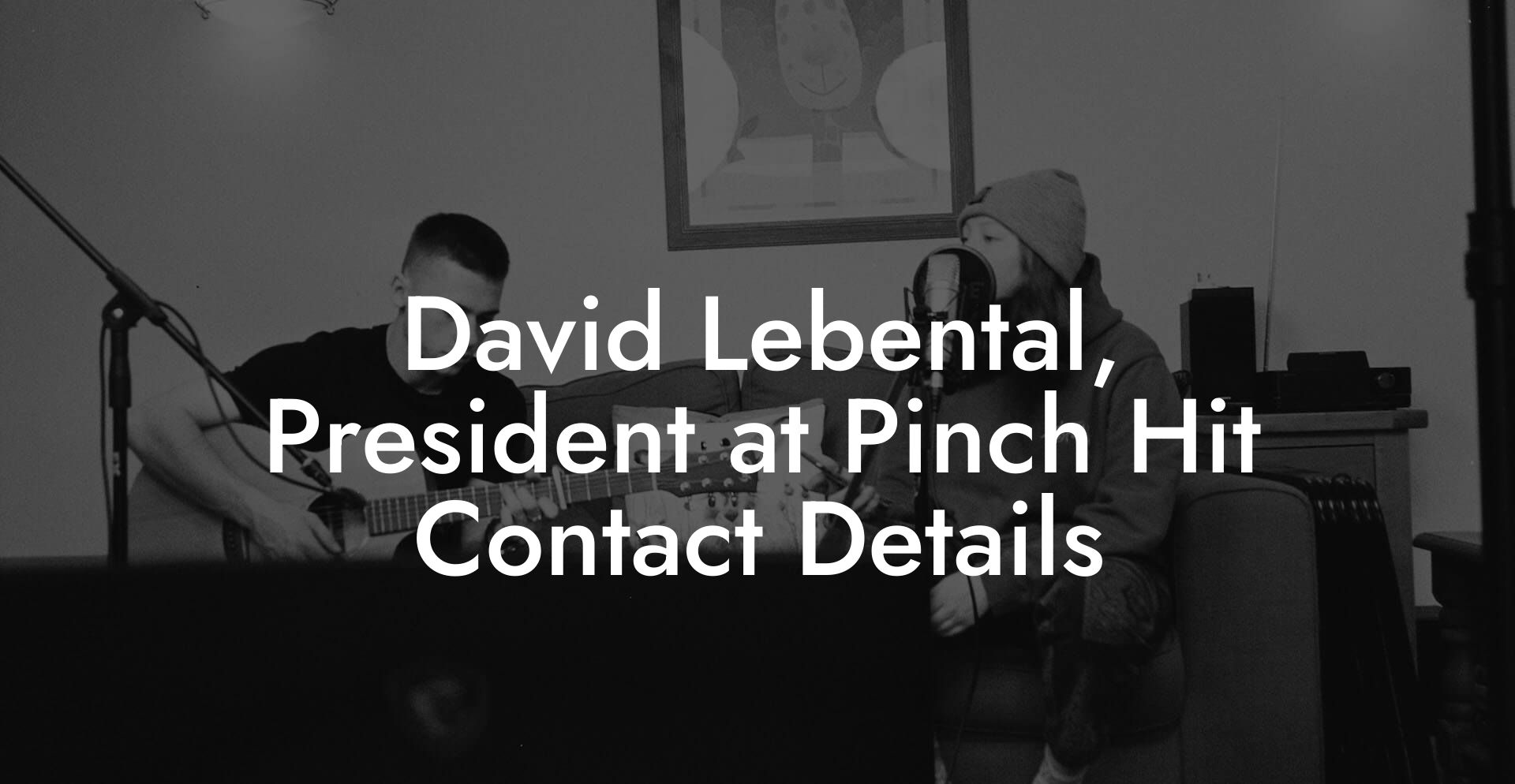 David Lebental, President at Pinch Hit Contact Details