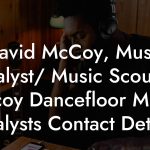 David McCoy, Music Analyst/ Music Scout at Decoy Dancefloor Music Analysts Contact Details