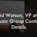 David Watson, VP at DM Music Group Contact Details