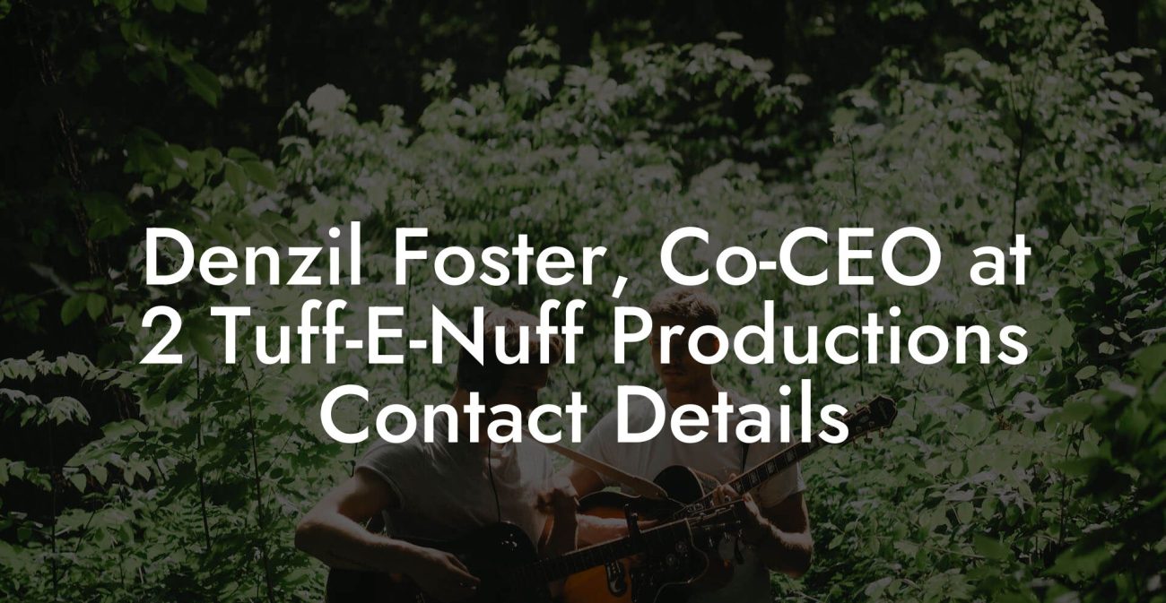 Denzil Foster, Co-CEO at 2 Tuff-E-Nuff Productions Contact Details