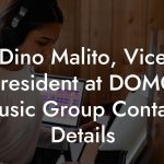 Dino Malito, Vice President at DOMO Music Group Contact Details