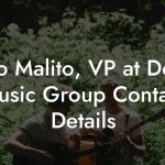 Dino Malito, VP at Domo Music Group Contact Details