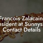 Francois Zalacain, President at Sunnyside Contact Details