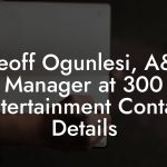 Geoff Ogunlesi, A&R Manager at 300 Entertainment Contact Details
