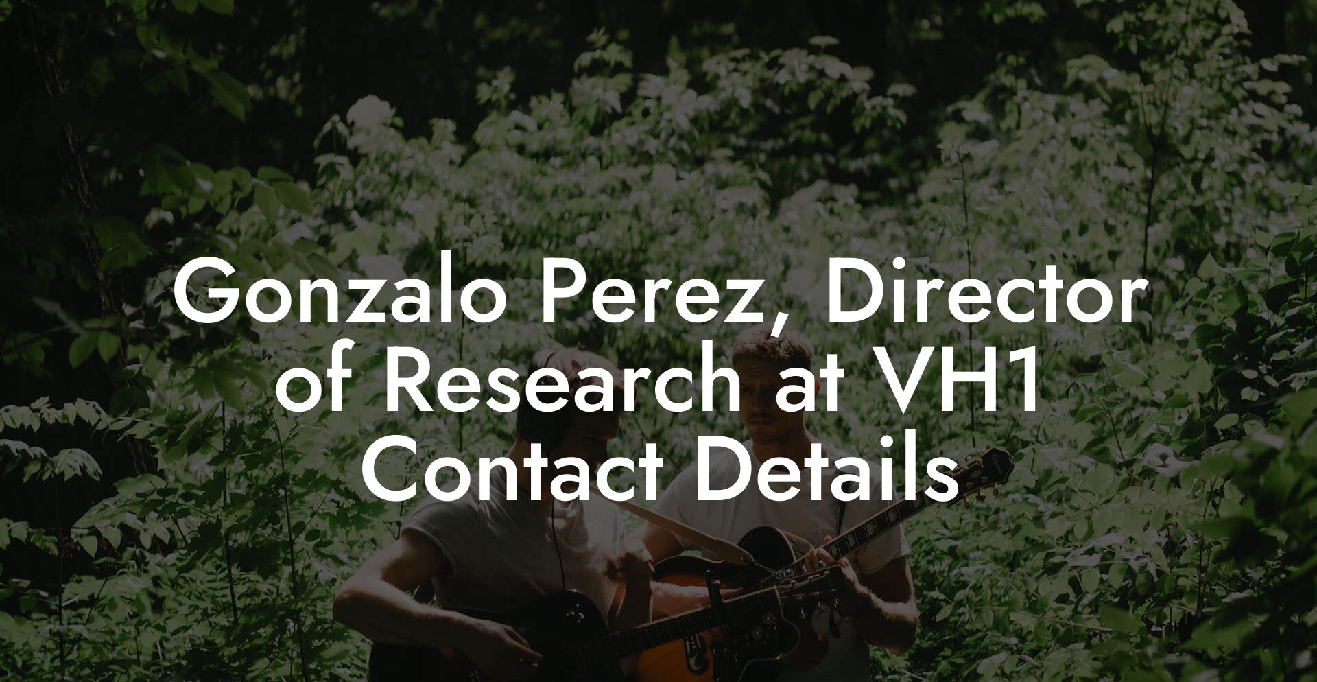 Gonzalo Perez, Director of Research at VH1 Contact Details