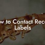 How to Contact Record Labels