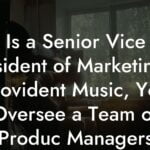 Is a Senior Vice President of Marketing at Provident Music, You Oversee a Team of Produc Managers