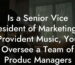 Is a Senior Vice President of Marketing at Provident Music, You Oversee a Team of Produc Managers