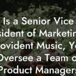 Is a Senior Vice President of Marketing at Provident Music, You Oversee a Team of Product Managers
