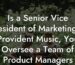 Is a Senior Vice President of Marketing at Provident Music, You Oversee a Team of Product Managers