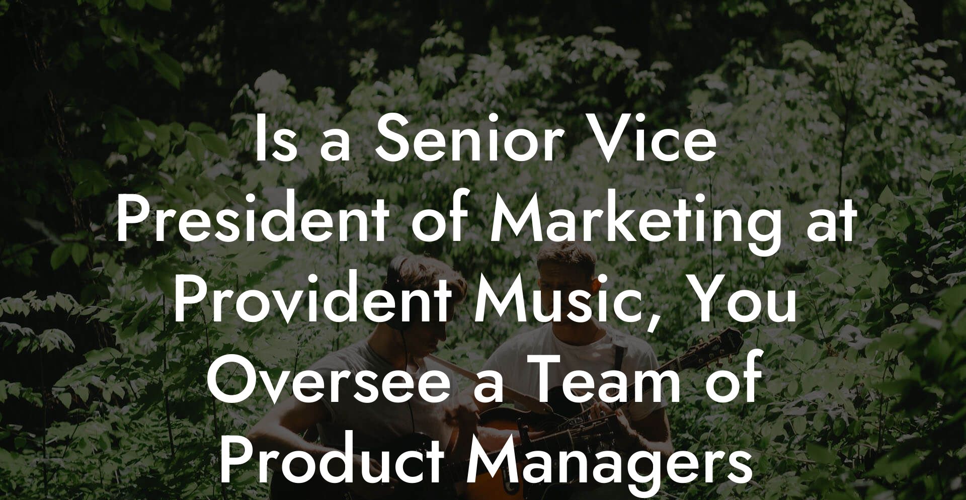 Is a Senior Vice President of Marketing at Provident Music, You Oversee a Team of Product Managers