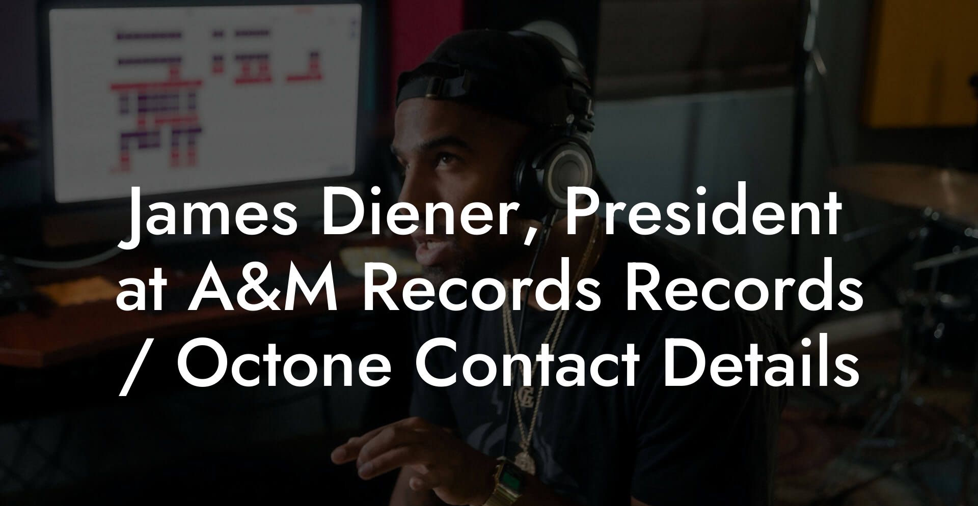 James Diener, President at A&M Records Records / Octone Contact Details