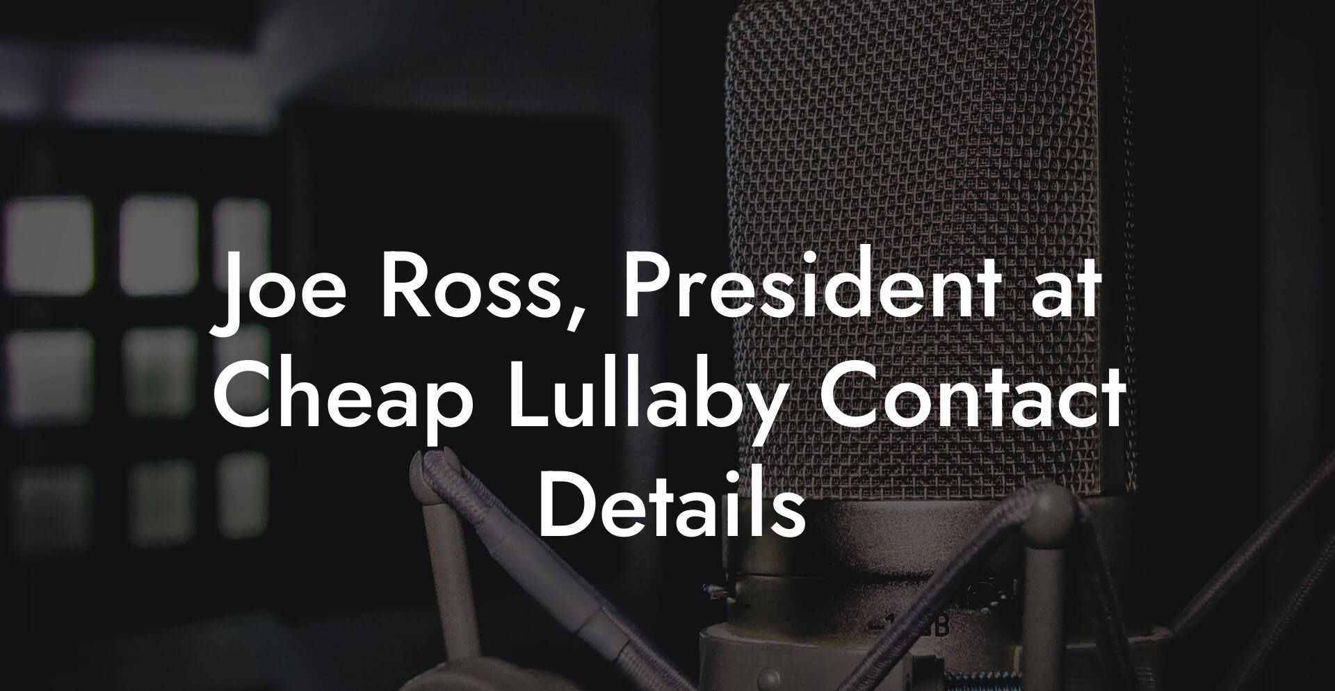 Joe Ross, President at Cheap Lullaby Contact Details