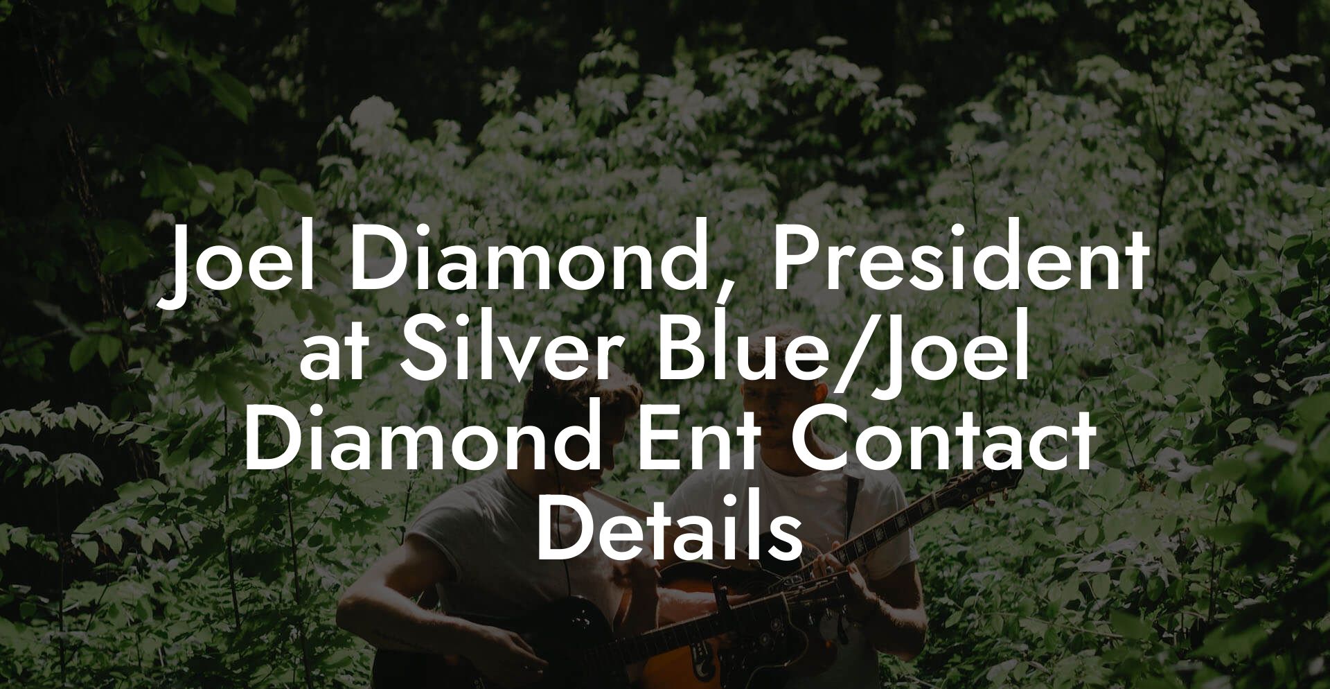 Joel Diamond, President at Silver Blue/Joel Diamond Ent Contact Details