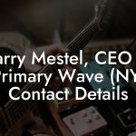 Larry Mestel, CEO at Primary Wave (NY) Contact Details