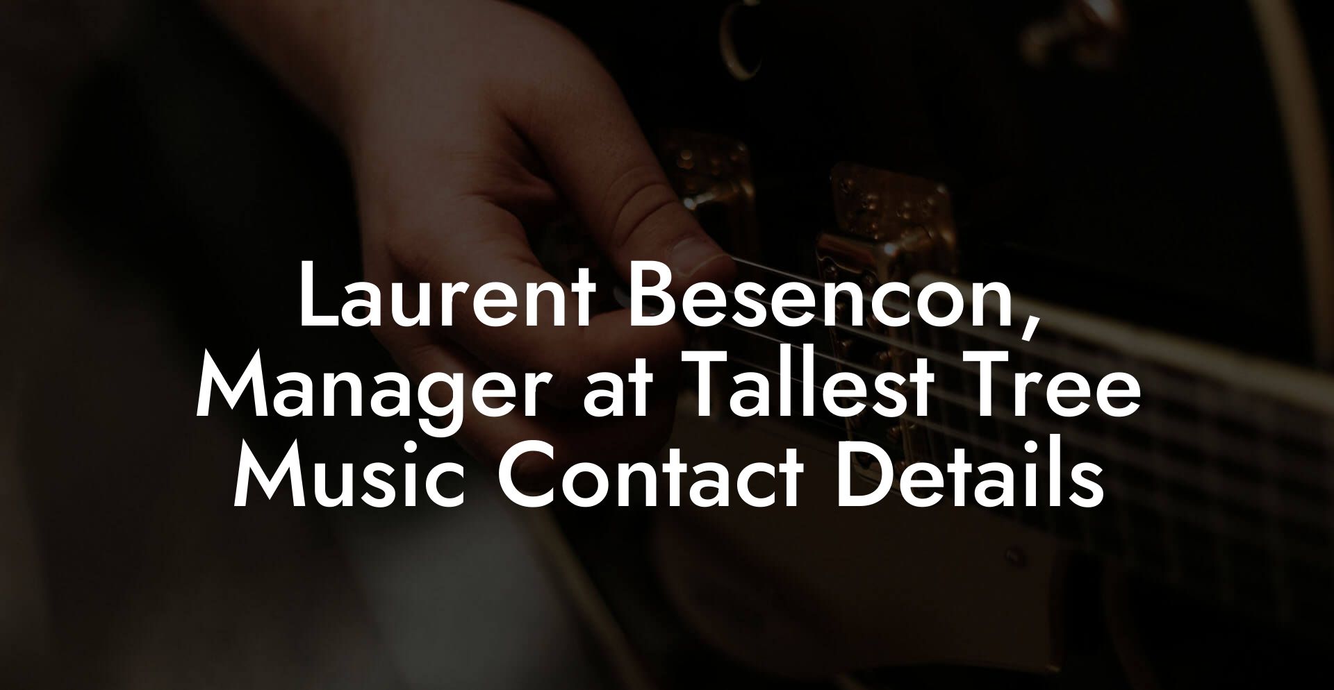 Laurent Besencon, Manager at Tallest Tree Music Contact Details