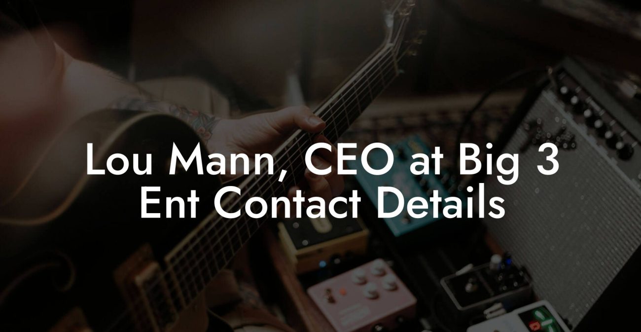 Lou Mann, CEO at Big 3 Ent Contact Details