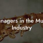 Managers in the Music Industry
