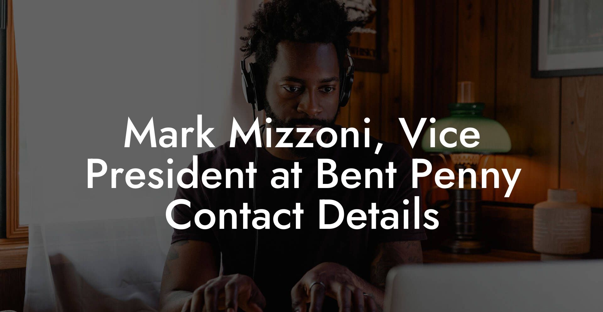 Mark Mizzoni, Vice President at Bent Penny Contact Details