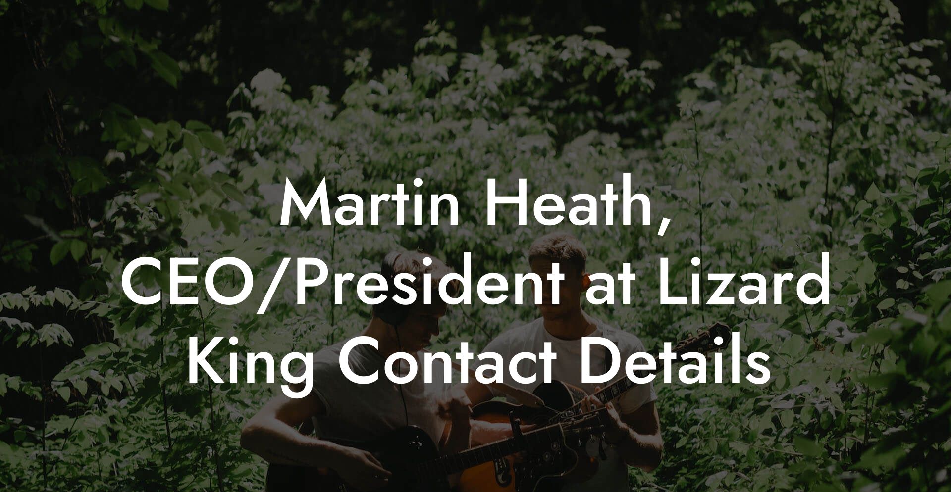 Martin Heath, CEO/President at Lizard King Contact Details