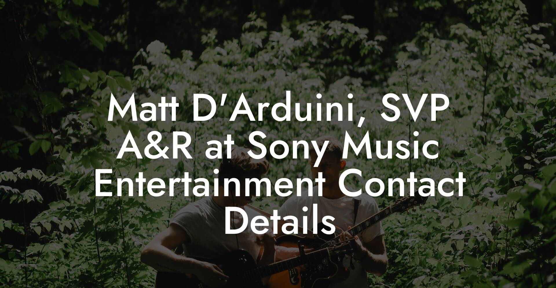 Matt D'Arduini, SVP A&R at Sony Music Entertainment Contact Details