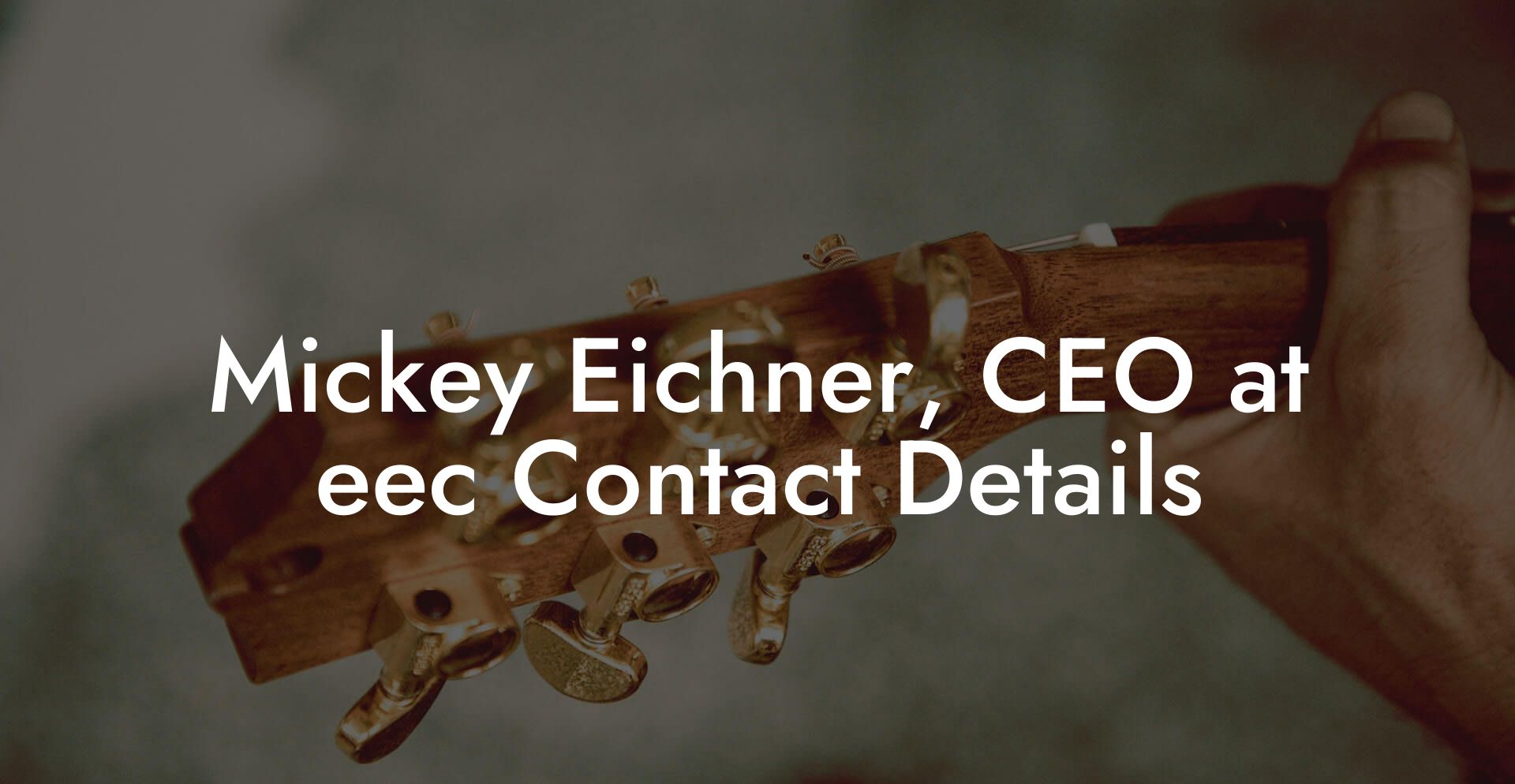 Mickey Eichner, CEO at eec Contact Details