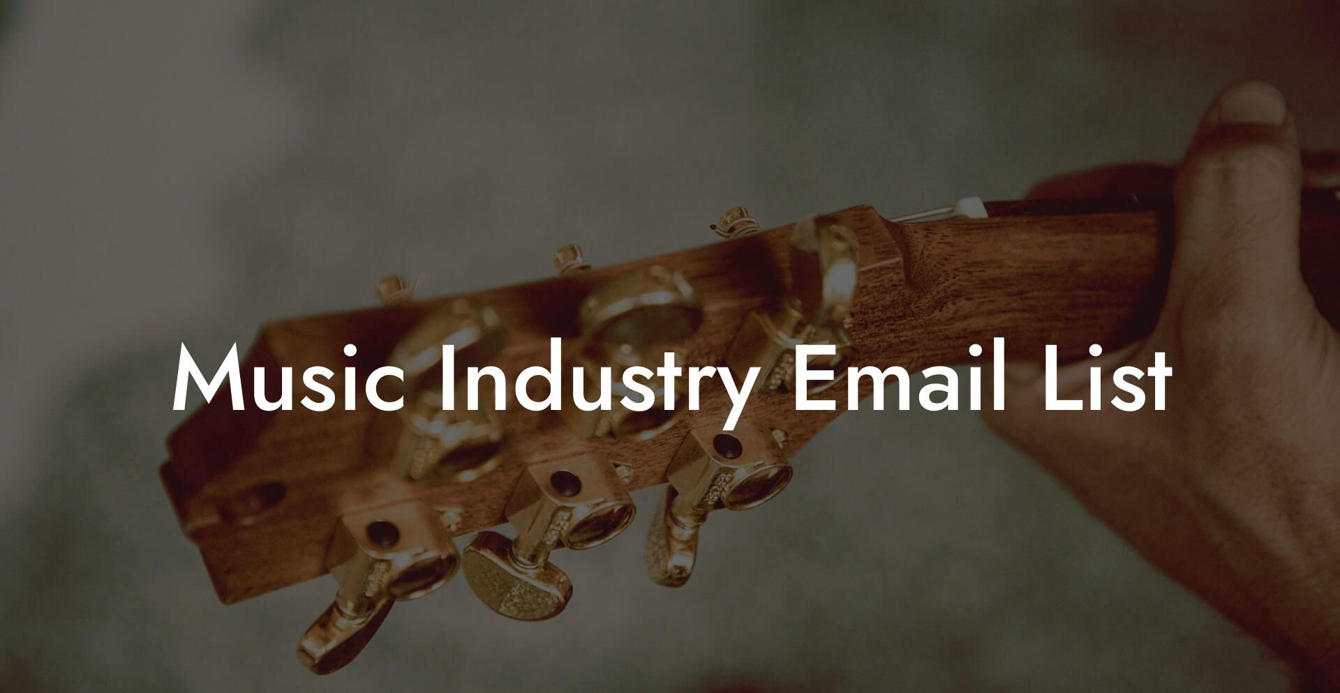 Music Industry Email List