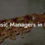 Music Managers in DC