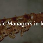 Music Managers in Iowa