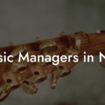 Music Managers in NYC