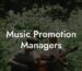 Music Promotion Managers