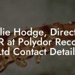 Ollie Hodge, Director A&R at Polydor Records Ltd Contact Details