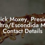 Patrick Moxey, President at Ultra/Escondida Music Contact Details