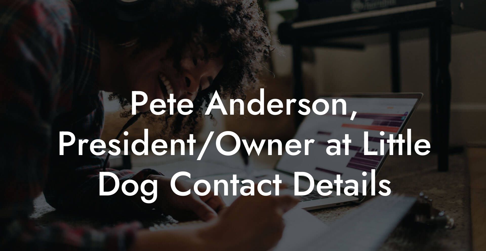 Pete Anderson, President/Owner at Little Dog Contact Details