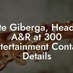 Pete Giberga, Head of A&R at 300 Entertainment Contact Details